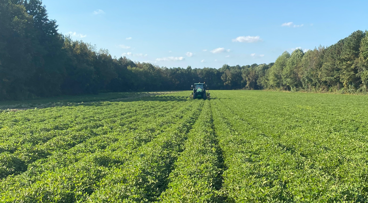 Hampton Farms Celebrates Sustainable Peanut Farming For National Peanu