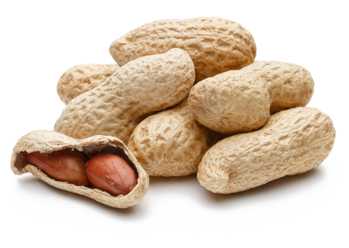 flavored peanuts