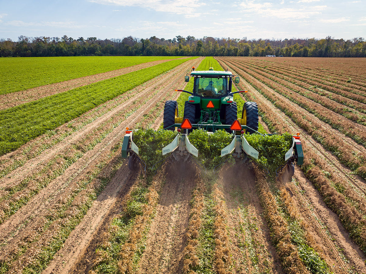 A Guide to Peanut Harvesting and Shelling