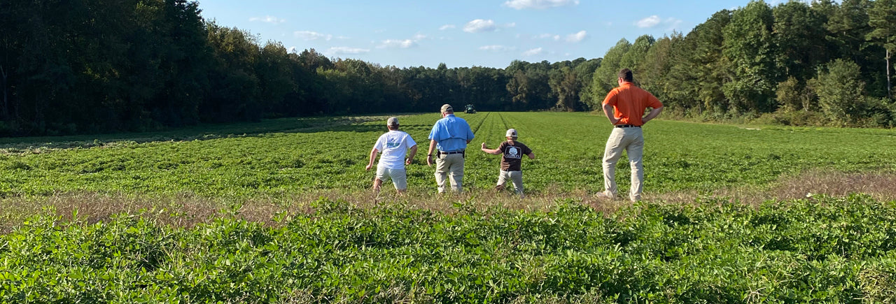 A Day on a Peanut Farm