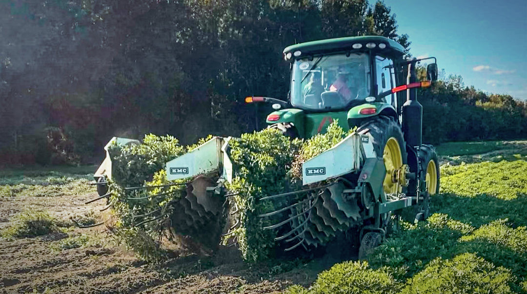 A Guide to Peanut Harvesting and Shelling