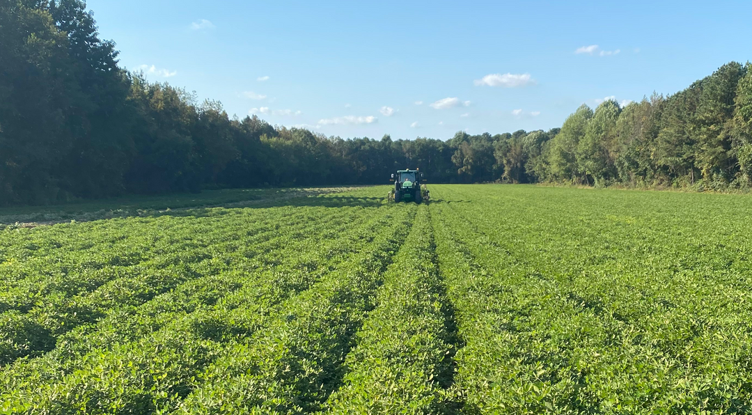 Hampton Farms Celebrates Sustainable Peanut Farming For National Peanut Month