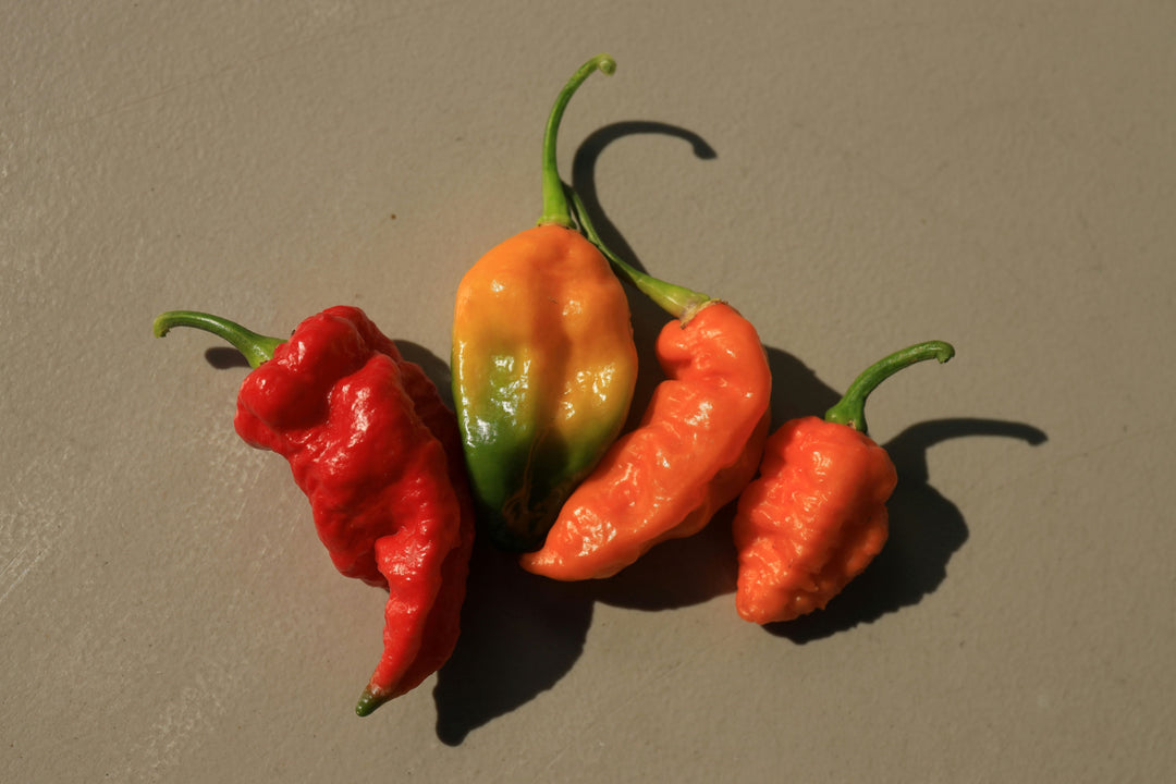 Warm Up Your Winter With Hot & Spicy Peanuts