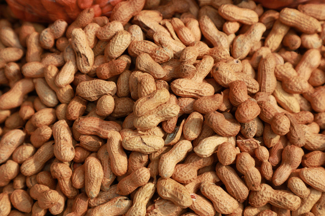 Best Uses for Peanut Shells | Hampton Farms