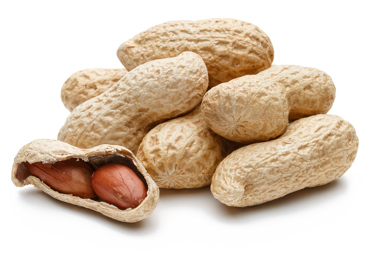bulk peanuts in the shell