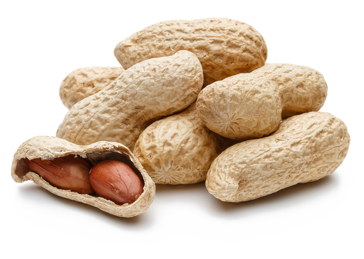 Bulk Peanuts & Nut Butter Stock | Hampton Farms