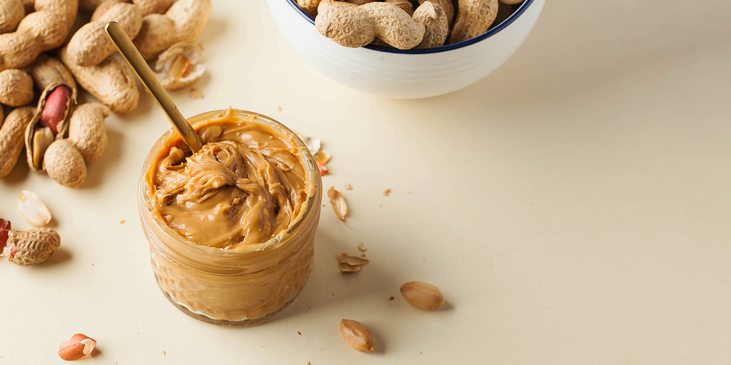 NUT BUTTER GRINDER Commercial Nut Grinder Attract More Customers to Your  Store Peanut Butter Almond Butter Cashew Butter Nuts Health Stores -   Sweden