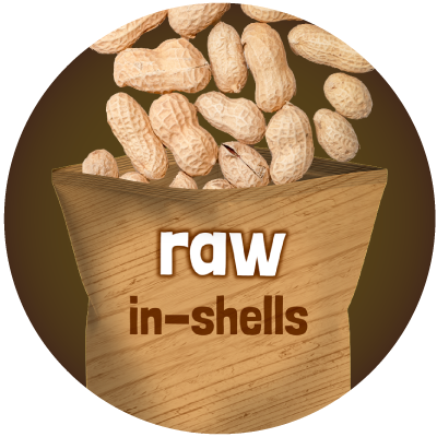 Jumbo Raw Peanuts